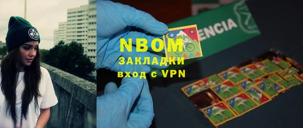 шишки Михайловск