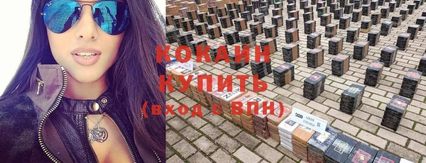 шишки Михайловск