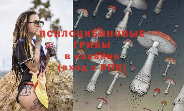 стафф Михайлов