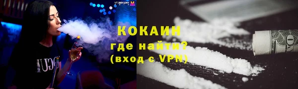 шишки Михайловск
