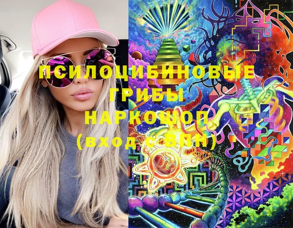 шишки Михайловск