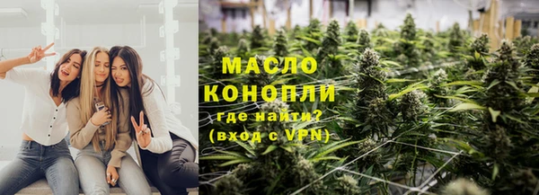 шишки Михайловск