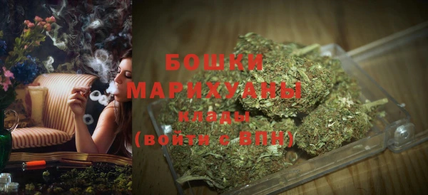 шишки Михайловск
