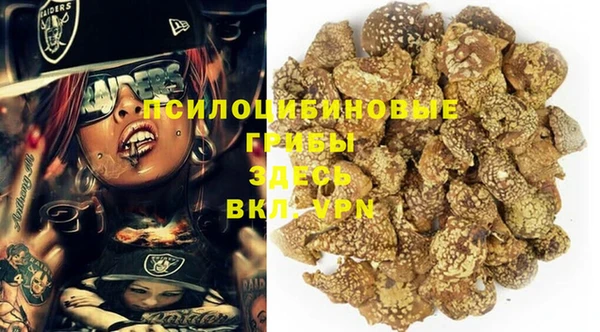 шишки Михайловск