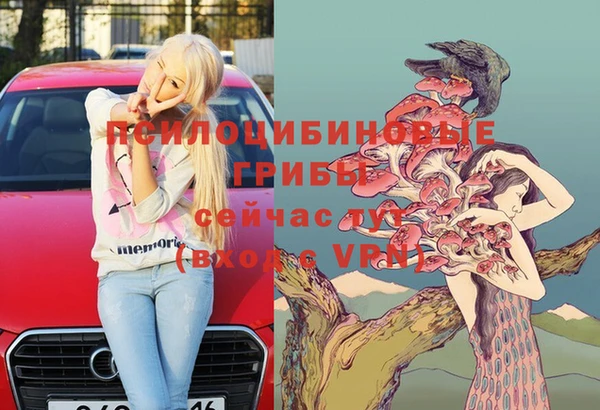 стафф Михайлов